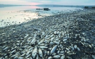 Серьезное влияние климата на озера Thessaloniki