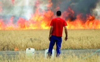 ЕС запустил механизм гражданской защиты в ответ на лесные пожары